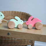 A mint and pink coloured small Bajo rabbit toy placed on a Triclimb Miri slide. These heirloom quality toys by Bajo are part of a wide range of wooden toys available here at Babipur.