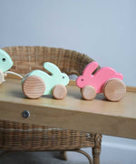 A mint and pink coloured small Bajo rabbit toy placed on a Triclimb Miri slide. These heirloom quality toys by Bajo are part of a wide range of wooden toys available here at Babipur.
