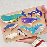 The wooden whale figures shown in the frame held in an adult's hands to show scale. These heirloom quality toys by Bajo are part of a wide range of wooden toys available here at Babipur. 