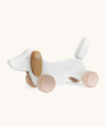Bajo wooden white dachshund puppy available at Babipur. Features unpainted wheels to push and pull