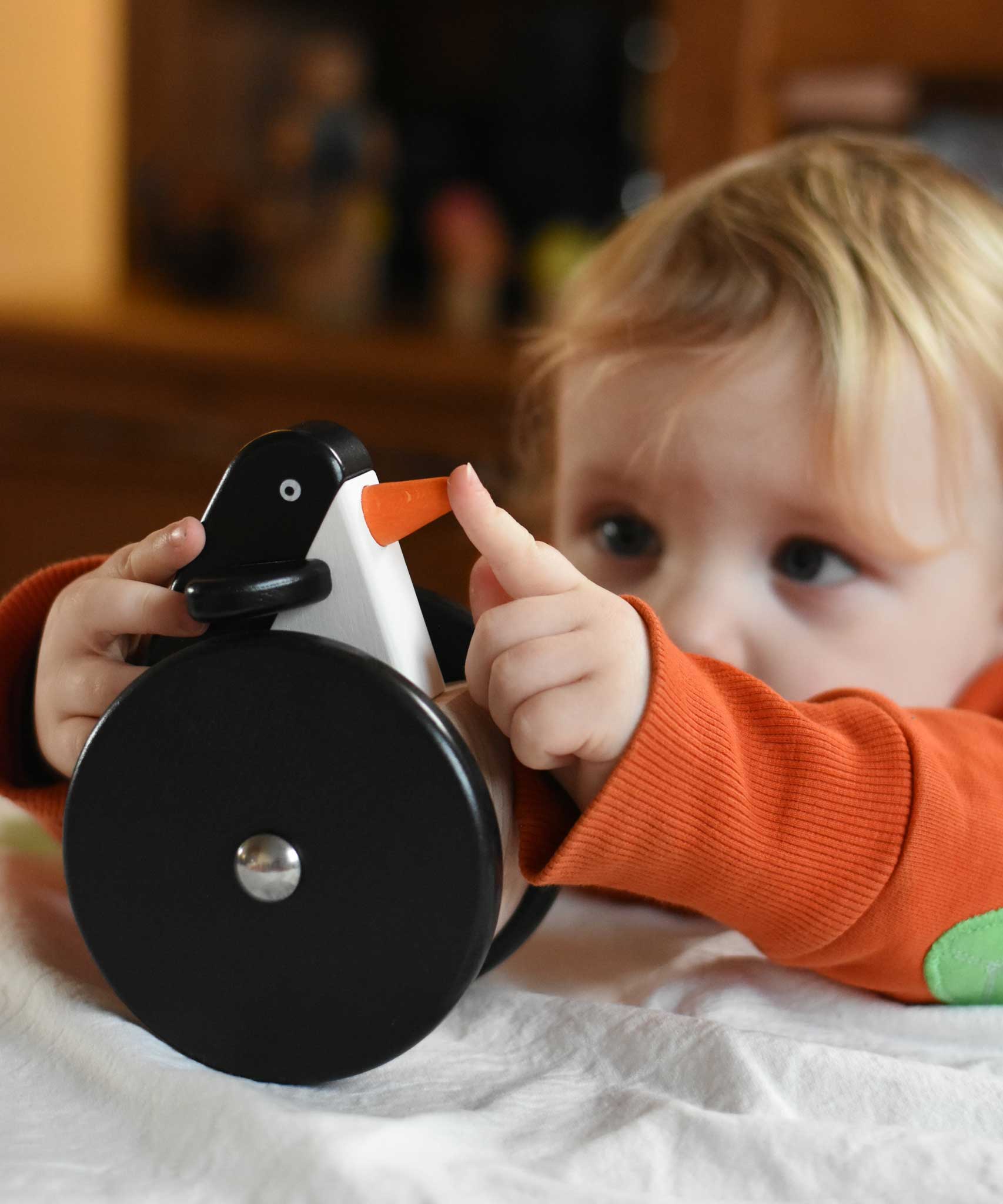 A child playing with the Bajo wobbling penguin push along wooden toy. This toy penguin has large black wheels. These heirloom quality toys by Bajo are part of a wide range of wooden toys available here at Babipur. 