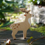  Deer