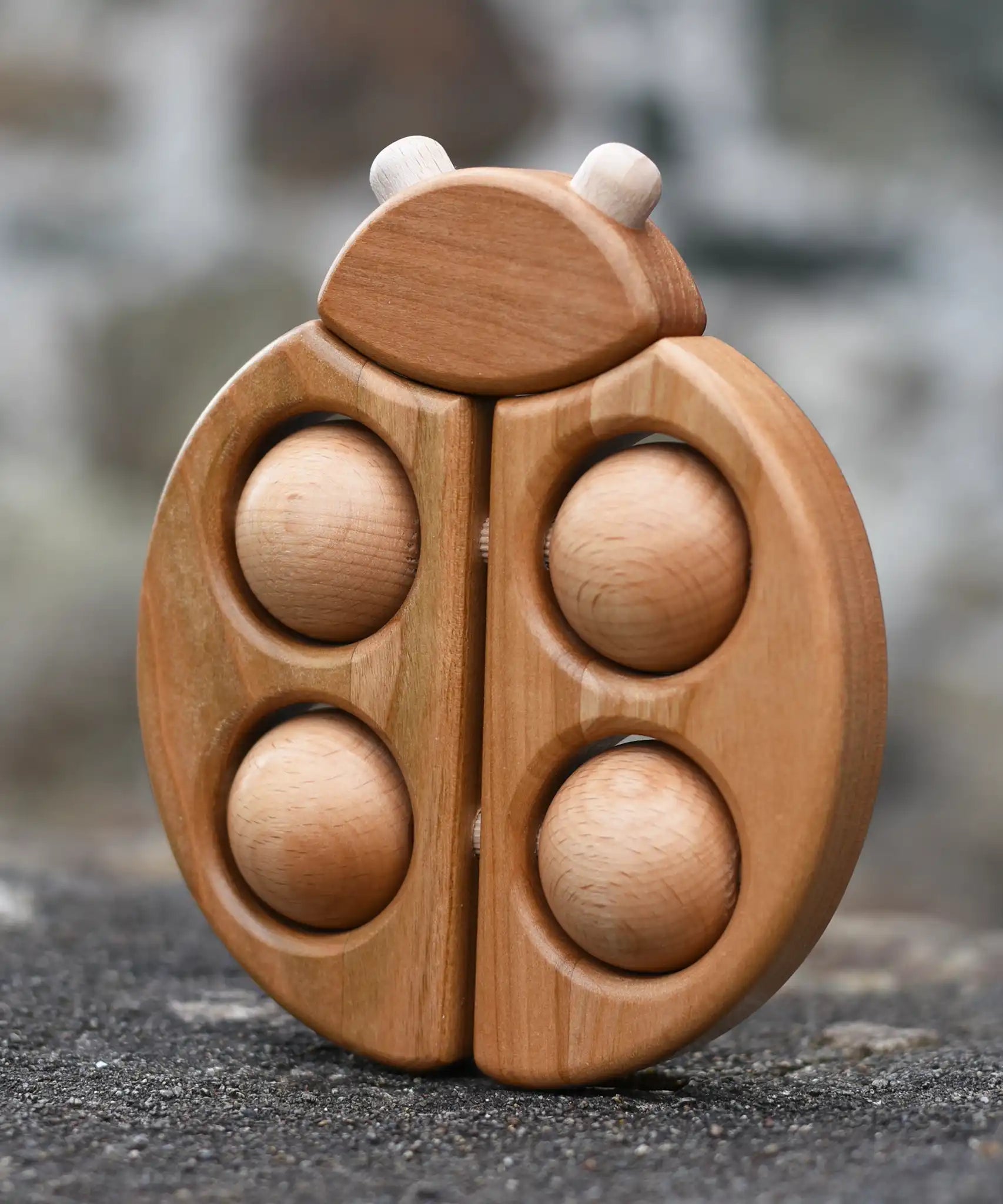 Bajo natural wooden ladybird teether placed on a stone wall outdoors in the Babipur garden.