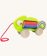 Bajo wooden pull chameleon toy in green with a pink pull cord and rainbow roller in the middle of the chameleon on a cream background