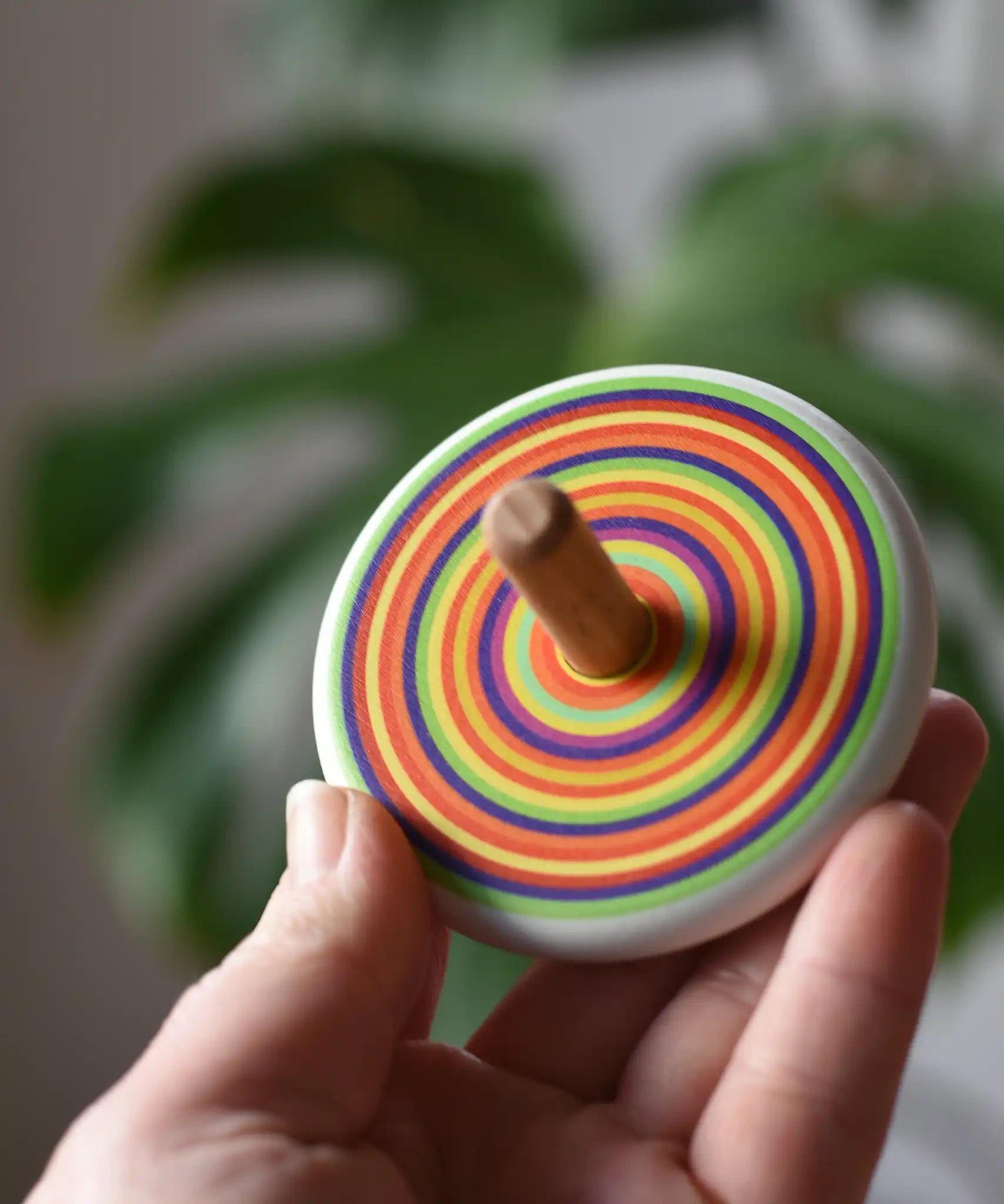 Bajo Colourful Circles Spinning Top in an adult's hand showing the design on the top.