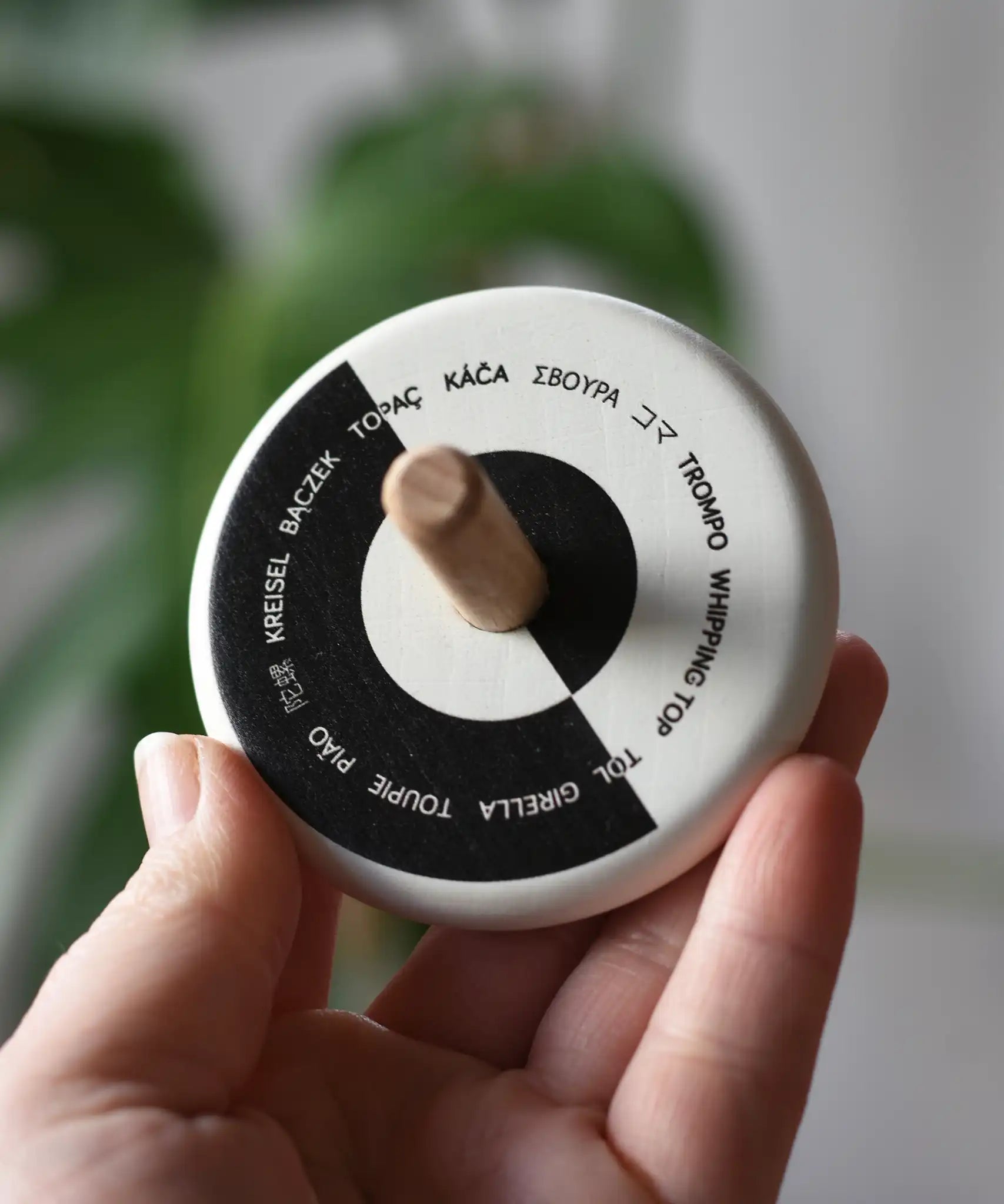 Bajo Languages Spinning Top shown in an adult's hand showing the design printed on the top.