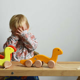 A child playing peek-a-book, hiding behind his hands. There are three Bajo wooden wriggling worm pull along toy placed on a Miri slide in front of them. These heirloom quality toys by Bajo are part of a wide range of wooden toys available here at Babipur. 