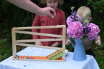 An adult's hand can be seen placing some clay marbles at the start of the Beck Toys Chimes Marble Run Track. Two children can be seen looking on in anticipation in the background. 
