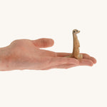 Light brown standing meerkat on a hand