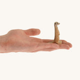 Light brown standing meerkat on a hand