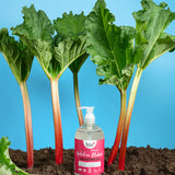 A 500ml bottle of Bio-D hand wash gel in Yorkshire rhubarb fragrance on top of soil surrounded by rhubarb