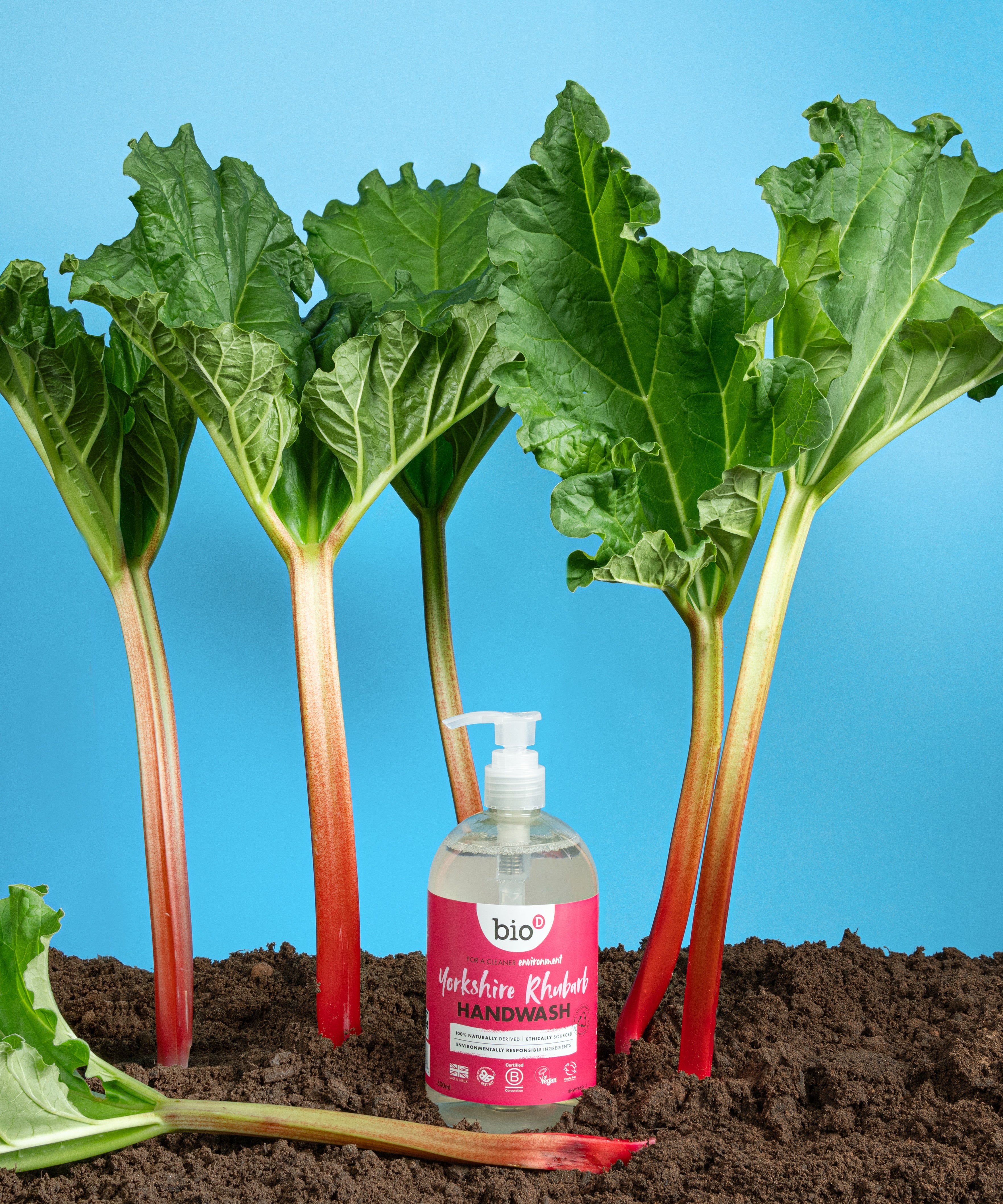 A 500ml bottle of Bio-D hand wash gel in Yorkshire rhubarb fragrance on top of soil surrounded by rhubarb