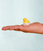 Adult hand holding the Bumbu handcrafted wooden yellow chick in egg decorative figure showing size