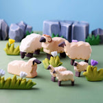 resting sheep
