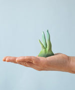 A flat hand holding the Bumbu small wooden seaweed toy for size reference. 