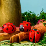 Three Bumbu Wooden Ladybirds in a small world play scene