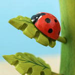 A Bumbu Wooden Ladybird on a leaf a Bumbu tree.