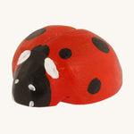 Bumbu Wooden Ladybird pictured on a cream background