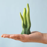 A hand holding the Bumbu large wooden seaweed toy for size reference