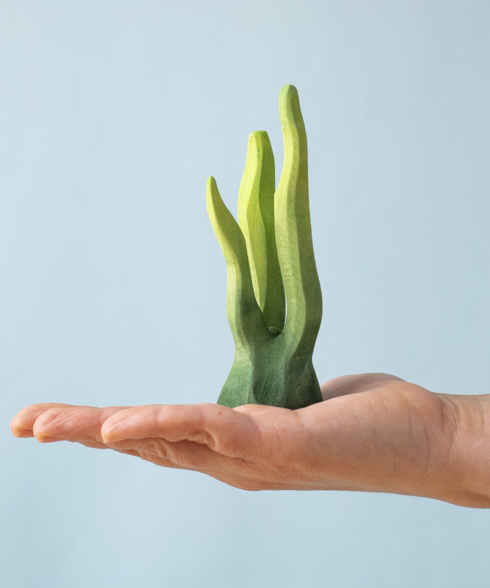 A hand holding the Bumbu large wooden seaweed toy for size reference