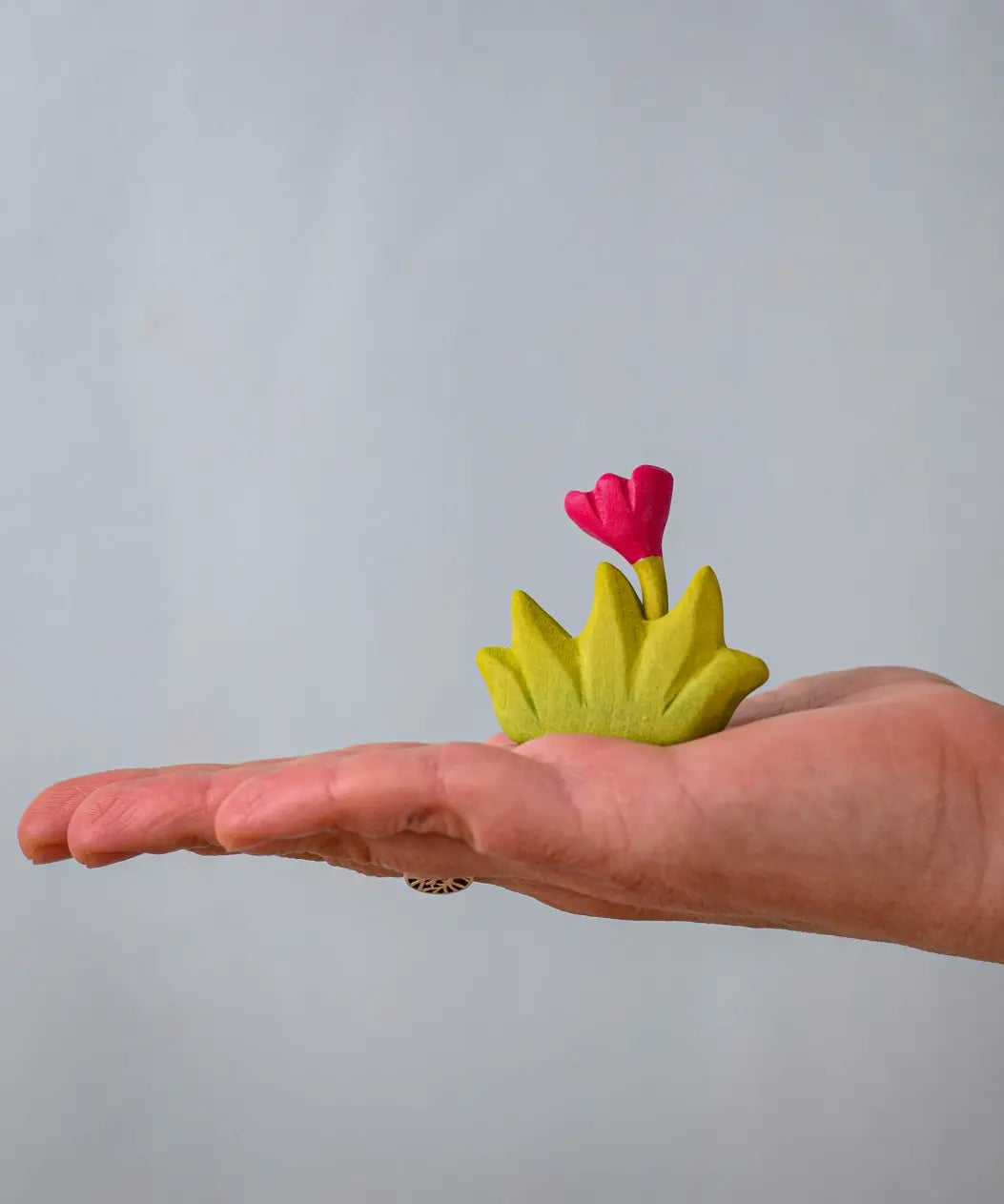 Bumbu small wooden grass with pink flower for use as scenery in small world play on an adult's hand.
