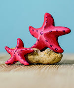 Bumbu Wooden Red Starfish Set with teh starfish shown on and leaning against a rock