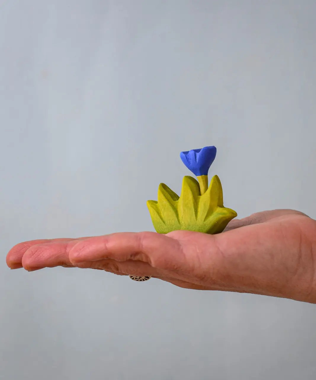 Bumbu small wooden grass with blue flower for use as scenery in an adult's hand.
