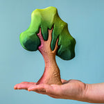 An adult balancing a small Bumbu oak tree onm their hand against a blue background. 