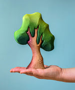 An adult balancing a small Bumbu oak tree onm their hand against a blue background. 