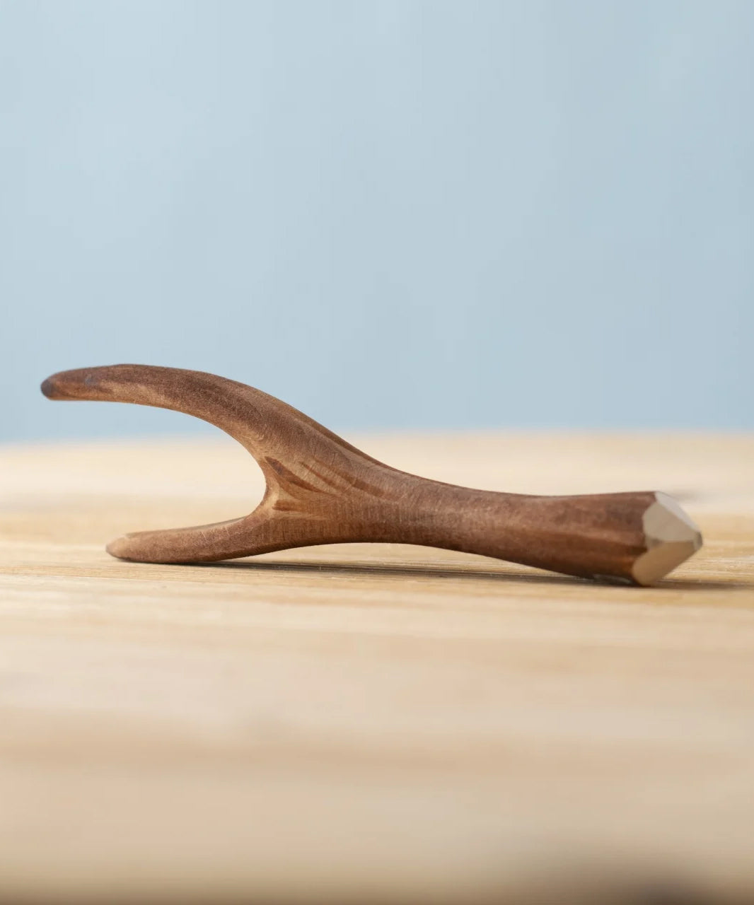 Bumbu Toys Black Poplar Branch placed on a wooden surface in front of a blue wall.