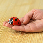 A Bumbu Wooden Ladybird on an adult's hand