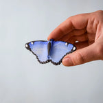 Bumbu Toys Wooden Butterfly in Blue, being held in an adult's hand.