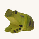 The Bumbu Frog is painted in shades of green with black details for a realistic look. 