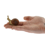 Side view of the Bumbu wooden snail figure on a plain background 