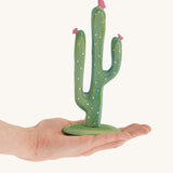 Green Bumbu cactus with pink flowers on a hand 