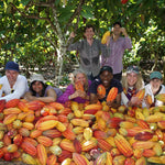 farmers holding cocoa pods
