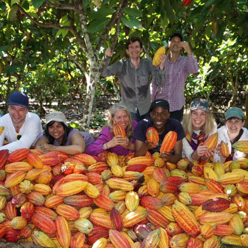 farmers holding cocoa pods