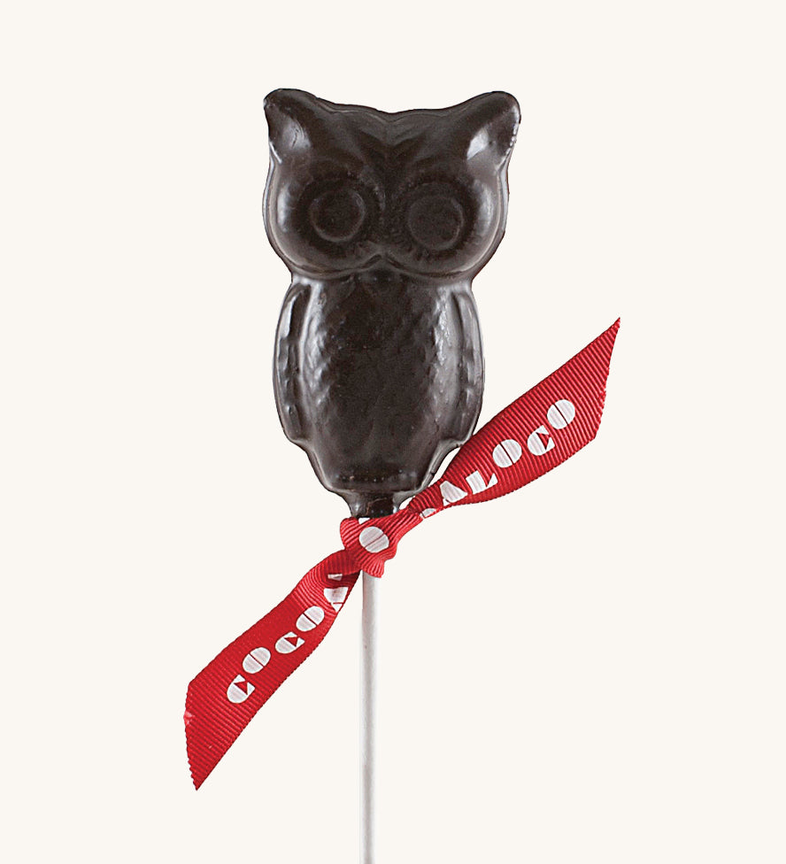 Cocoa Loco Dark Chocolate Owl. These chocolate lollies are Fairtrade, organic and UPF free.  