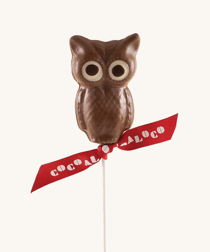 Cocoa Loco milk Chocolate Owl. These chocolate lollies are Fairtrade, organic and UPF free.  