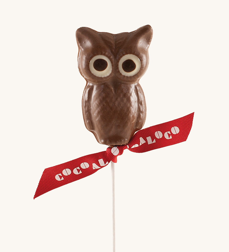 Cocoa Loco milk Chocolate Owl. These chocolate lollies are Fairtrade, organic and UPF free.  