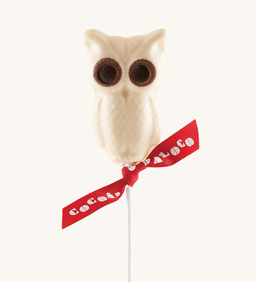 Cocoa Loco White Chocolate Owl. These chocolate lollies are Fairtrade, organic and UPF free.  