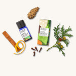 Cosy Winter Christmas pure essential oil blend in a blue glass bottle next to a decorative festive cardboard box, pine cone, cloves, cypress, orange peel and cinnamon. 