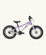 Side of a Early Rider belter 14 inch kids bicycle showing a violet haze top half and brushed aluminium bottom half frame