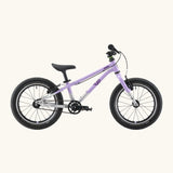 Side of a Early Rider belter 16 inch kids bicycle showing a violet haze top half and brushed aluminium bottom half frame