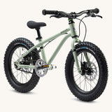 Early Rider Seeker X16 16" Bike