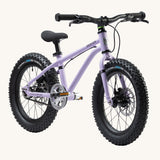 Early Rider Seeker X16 16" Bike