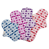 Eco Femme Organic Menstrual Starter Kit