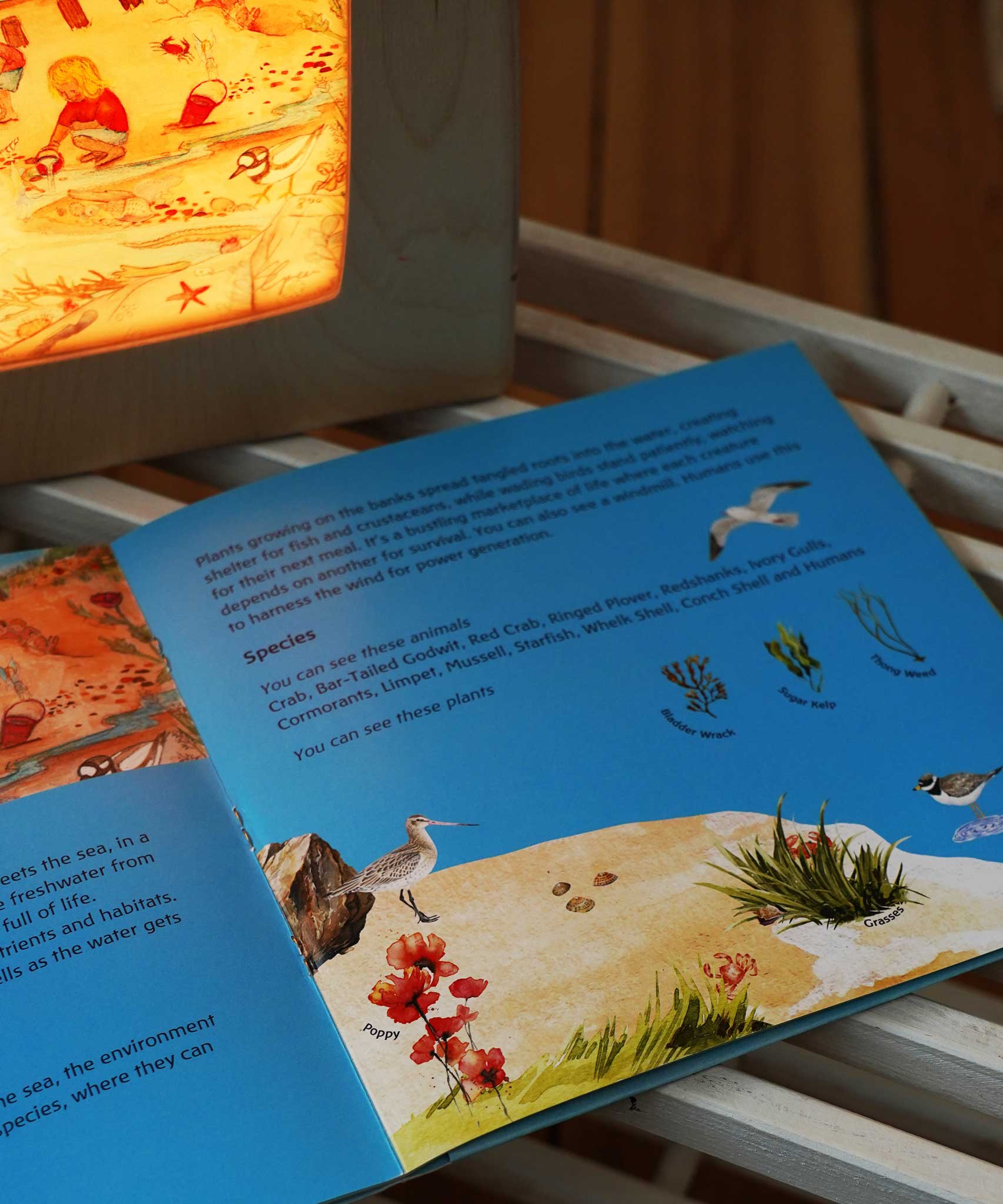The booklet from the Toverlux EduLux set shown open on the pages about the estuary. The silhouette featuring the coordinating artwork has been placed in a magic lamp in the background. A range of Toverlux silhouettes and lamps are available at Babipur.