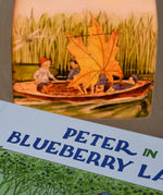 Cose up of the over of Peter in Blueberry Land children's hardback book by Elsa Beskow placed next to a Toverlux lamp with coordinating artwork.