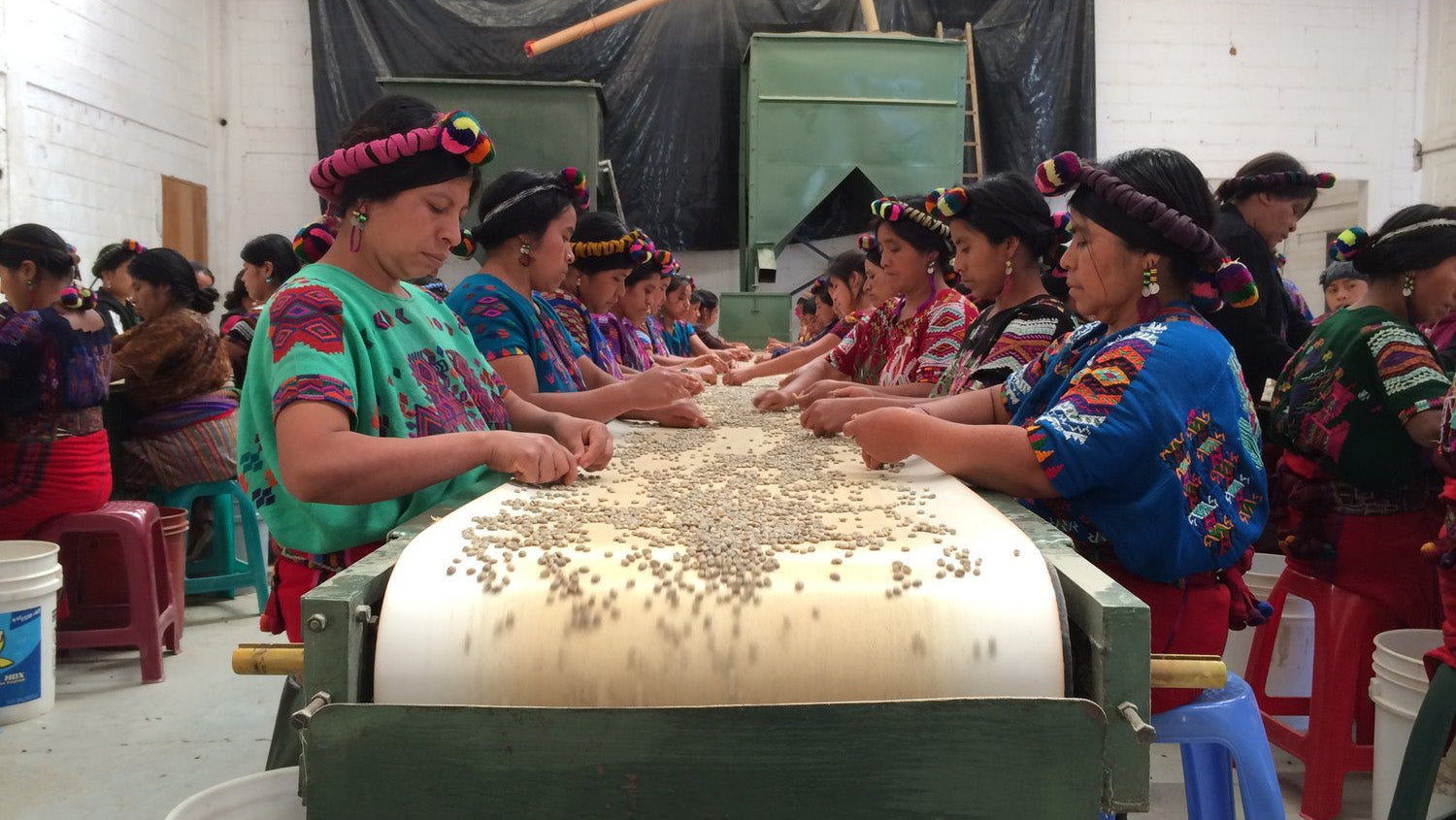 Female coffee farmers in Guatemala sorting through coffee beans, and wearing colourful traditional clothing. 